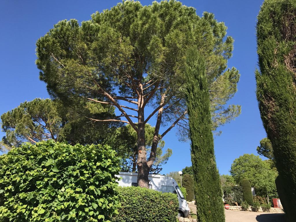 Campsite La Paoute Grasse